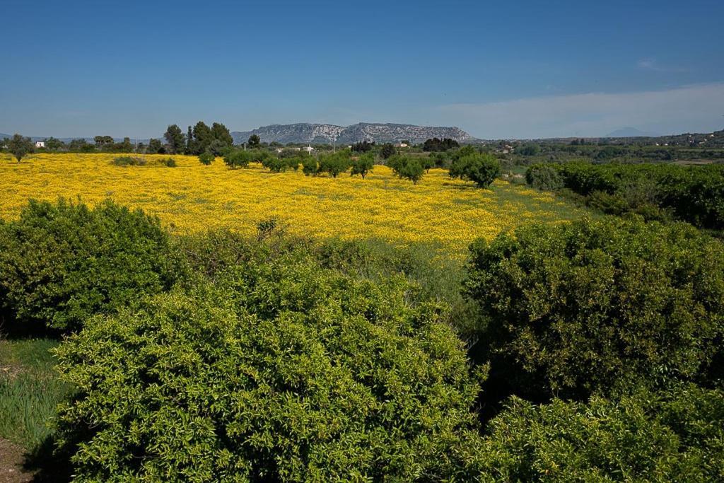 سيراكوزا Farm Stay La Frescura Agriturismo المظهر الخارجي الصورة